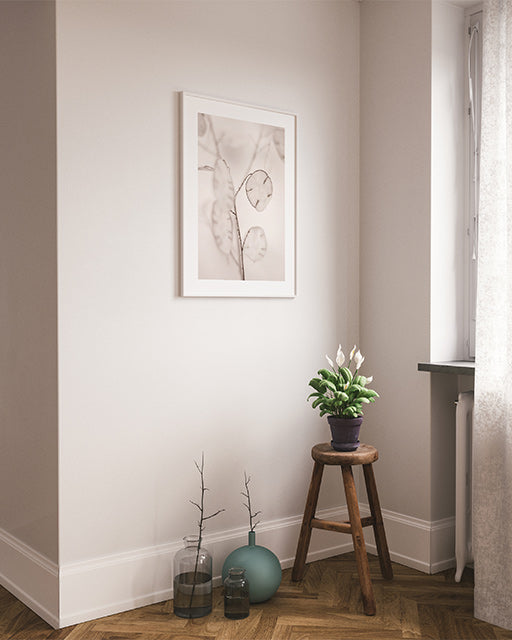 Honesty Plant Poster