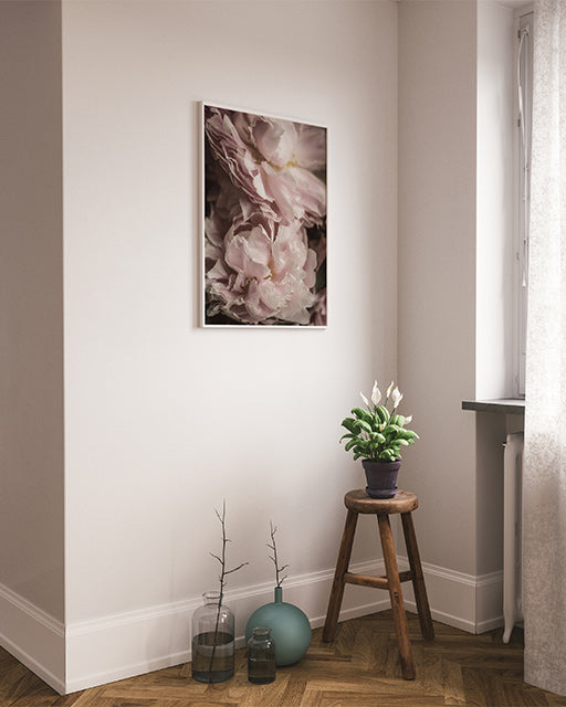 Two Peonies Poster