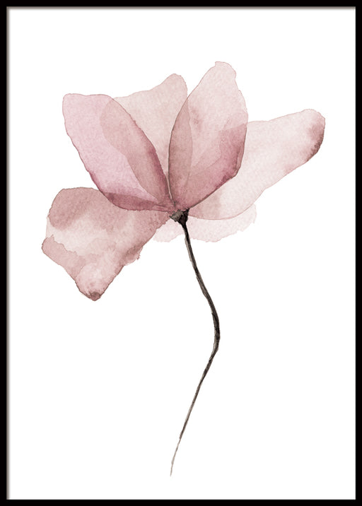 Aquarelle Fleurs Affiche