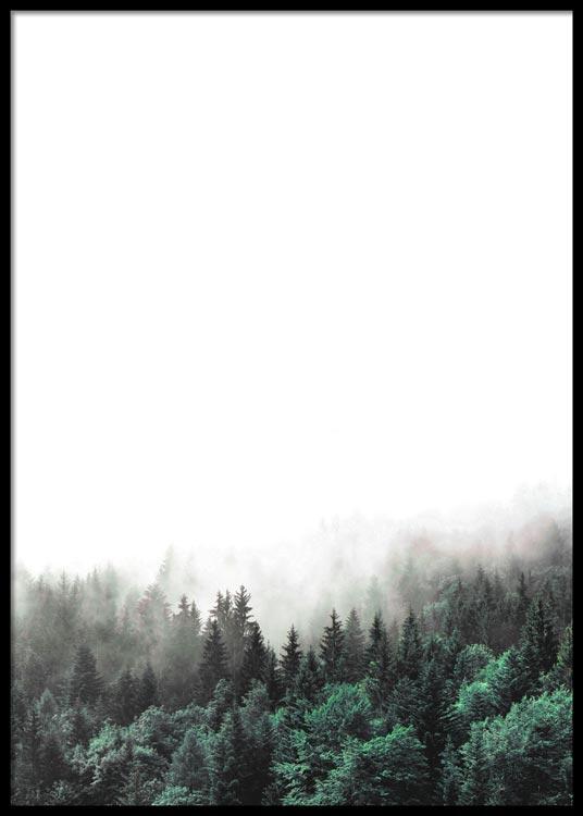 Foggy Forest Poster