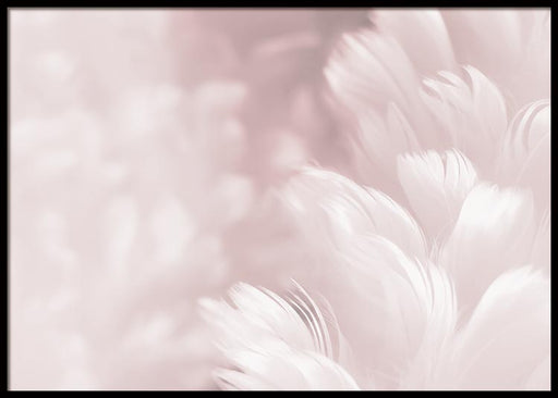 Pink Feathers Poster