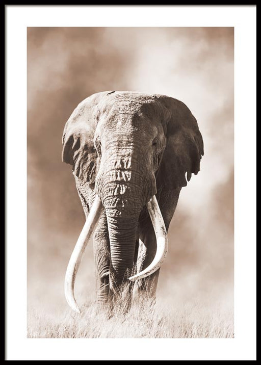 Savanna Elephant Poster