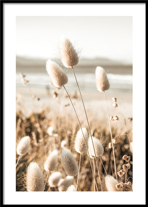 Herbe des Dunes Affiche