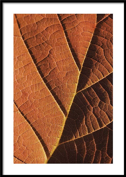 Feuille d'automne Affiche