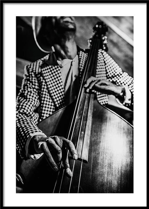 Bass Player Poster