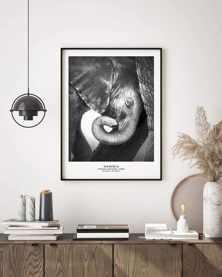 Baby Elephant Poster