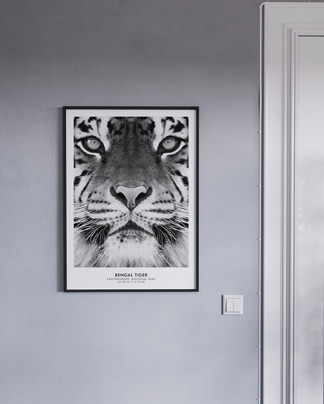 Bengal Tiger Poster