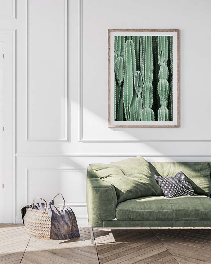 Cactus Affiche