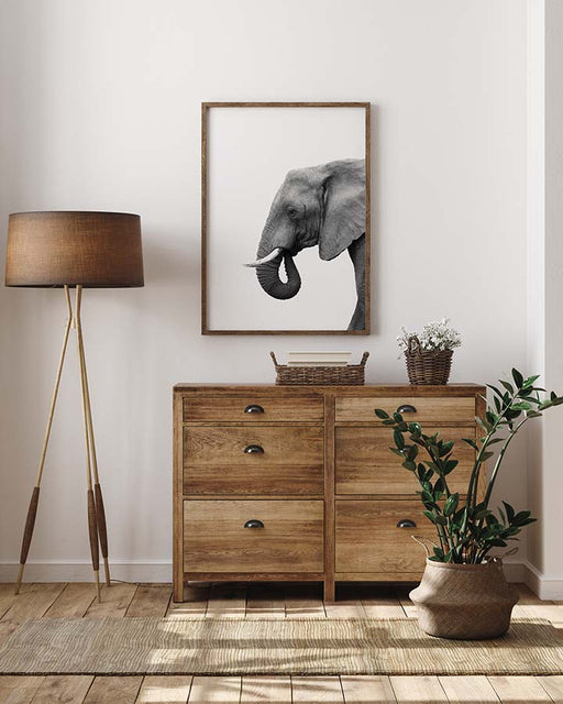 Elephant Portrait Poster