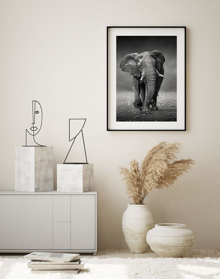 Elephant Poster