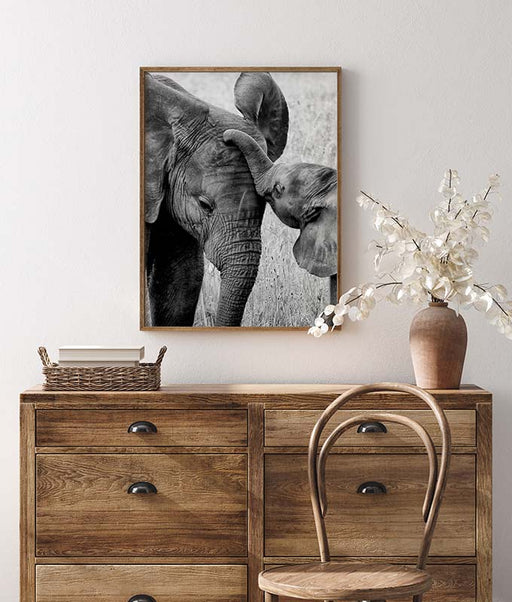 Elephant With Kid Poster