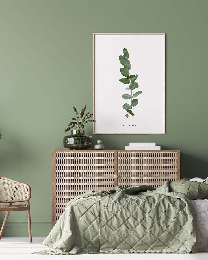 Eucalyptus Poster