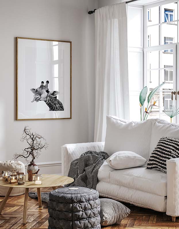 Funny Giraffe Poster