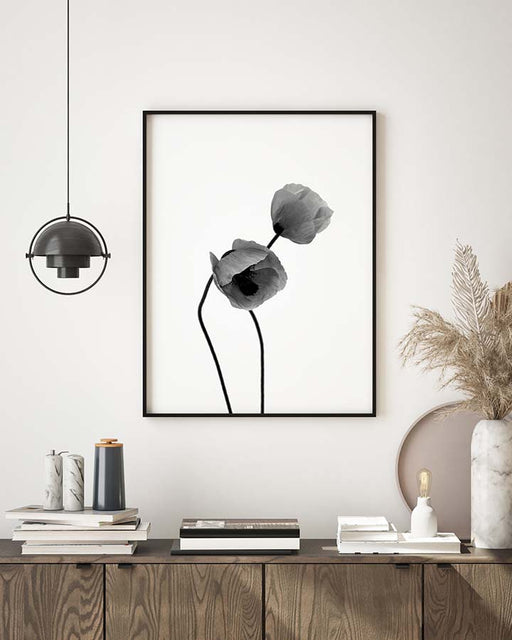 Fleurs de coquelicot gris Affiche