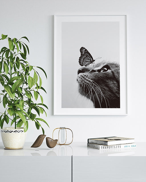 Katze und Schmetterling Poster