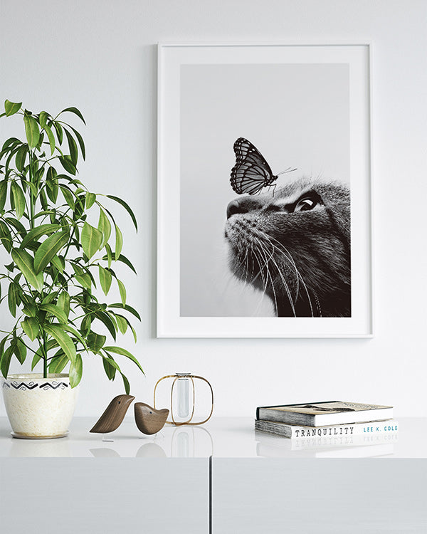 Katze und Schmetterling Poster