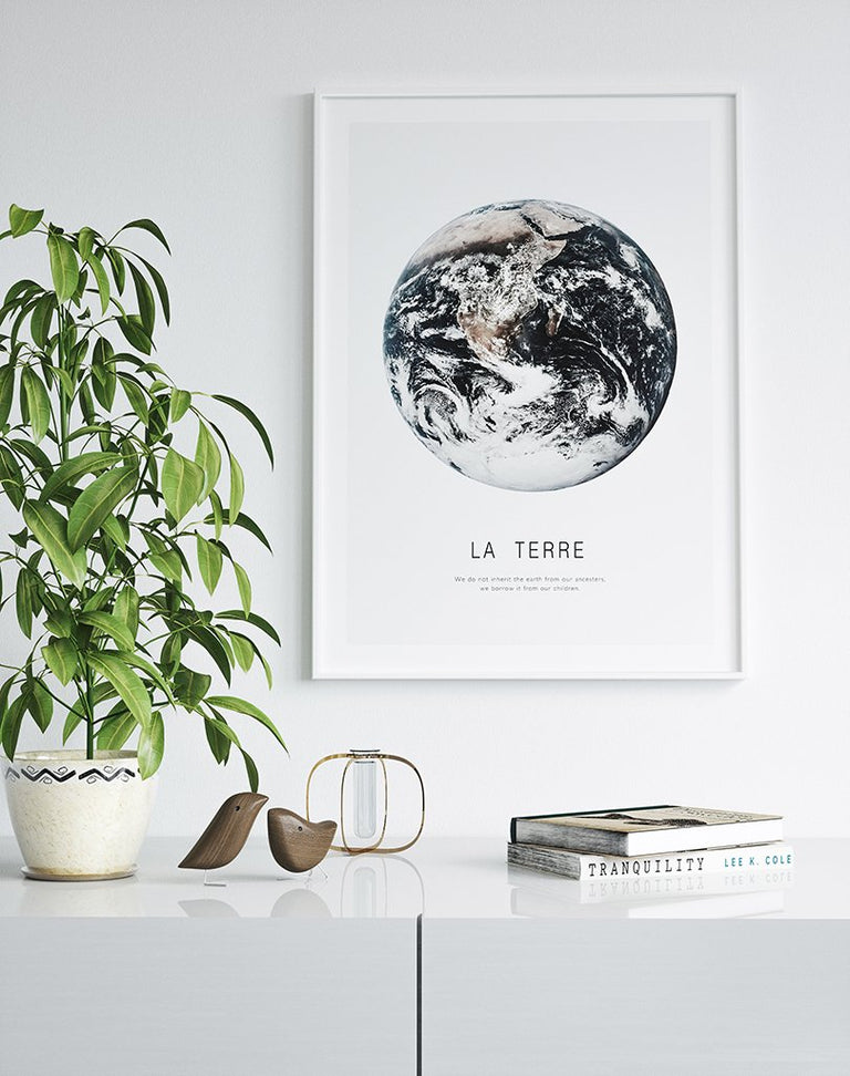 La Terre Affiche