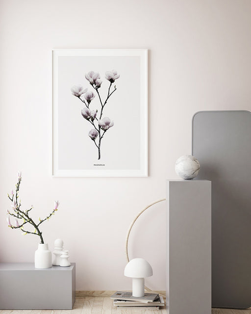 Magnolia Affiche