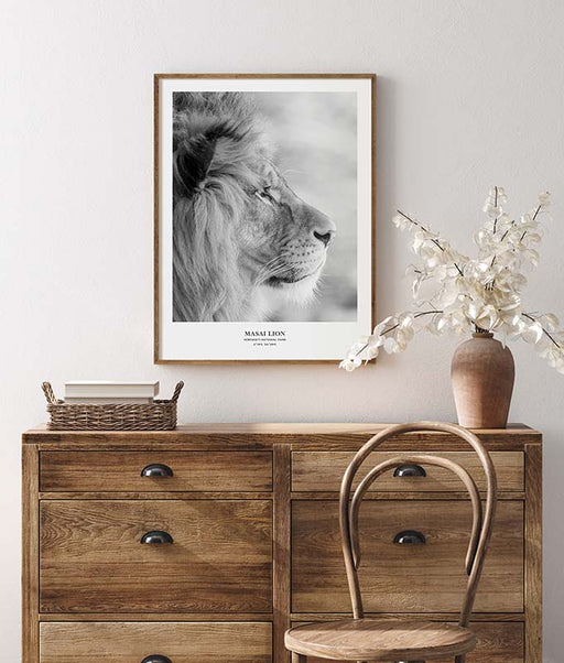 Masai Lion Poster