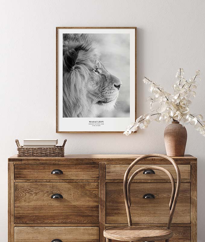 Masai Lion Poster