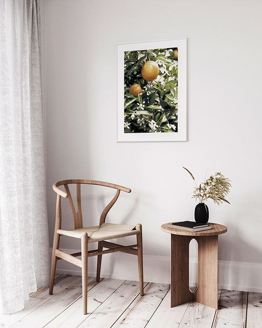Orange Tree Poster
