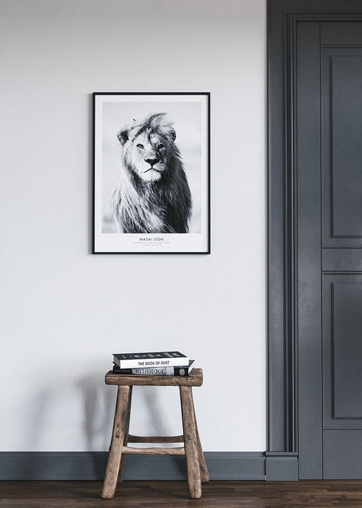 Lion Poster