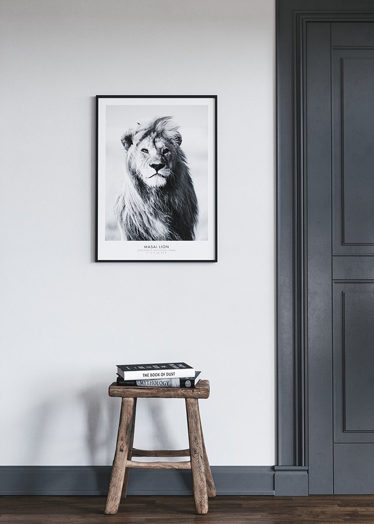 Lion Poster