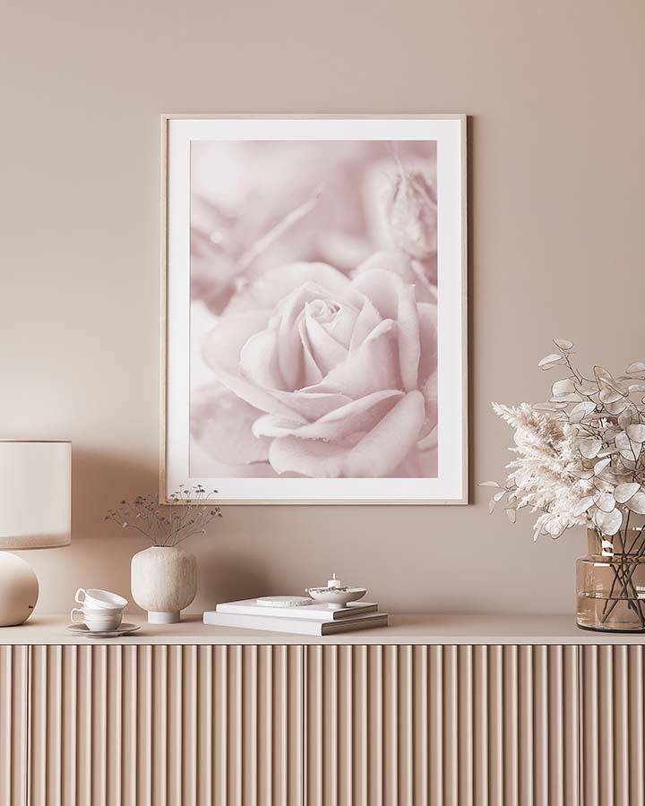 Pink Rose No2 Poster