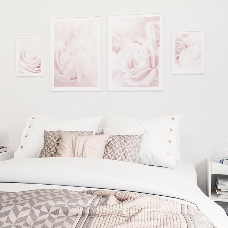 Pink Rose No2 Poster