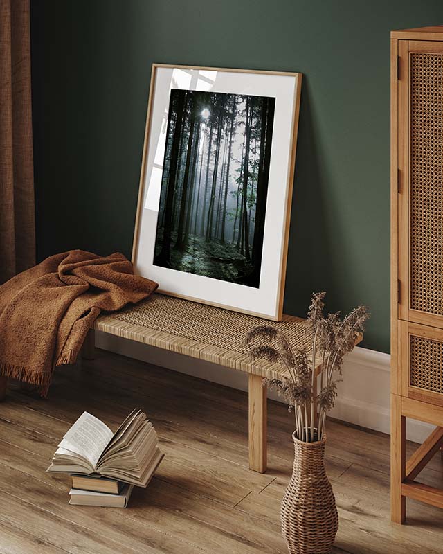 Sunbeam Forest Poster