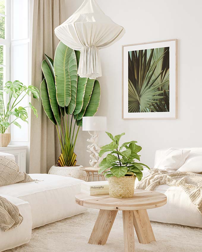 Vintage Tropics Poster