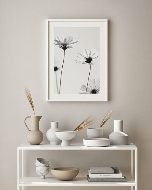 White Cosmos Flower Poster