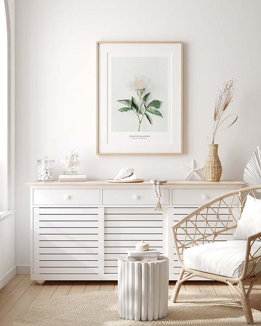 Pivoine blanche Affiche